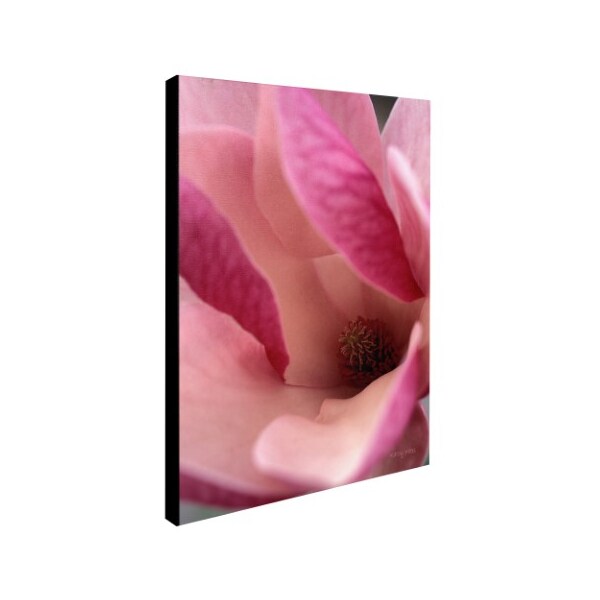 Kathy Yates 'Tulip Magnolia Blossom' Canvas Art,14x19